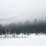 Photo Winter landscape