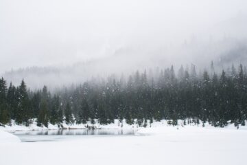 Photo Winter landscape