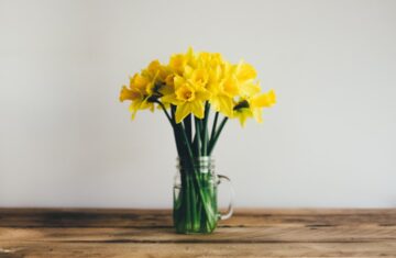 Photo Spring cleaning