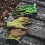 Photo Gardening tools