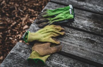 Photo Gardening tools