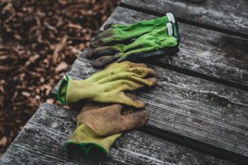 Photo Gardening tools